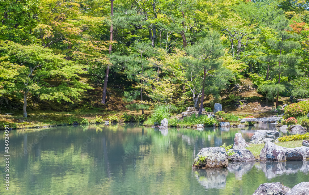 Beautiful japanese green garden in summer season