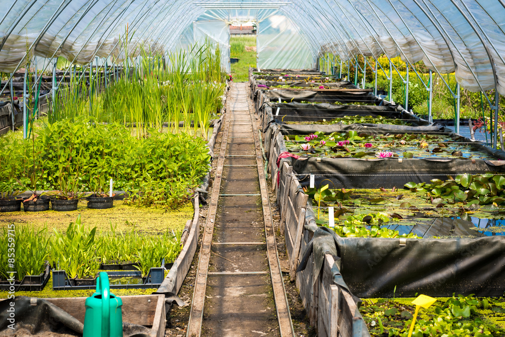 大型温室、植物苗圃、花园中心