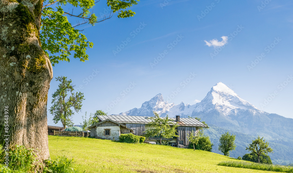 Bauernhof mit Watzmann