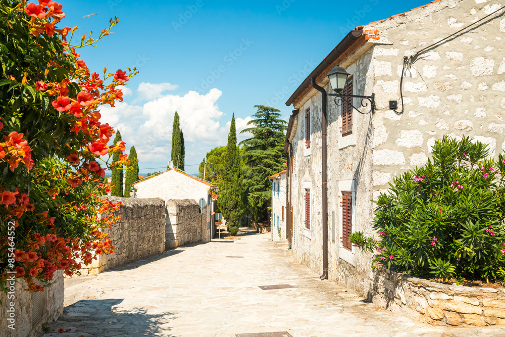 Street of Medieval Mediterranean Town in Croatia