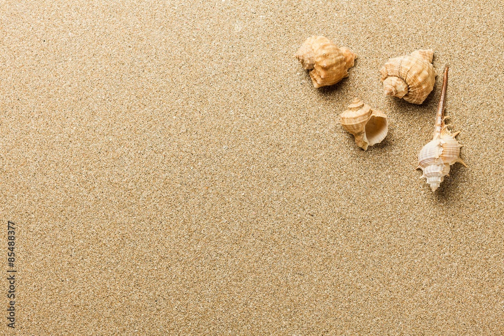 Beach, summer, background.