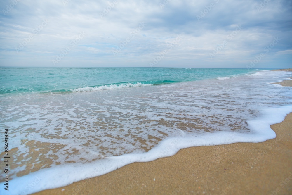 Beach, Florida, Wave.