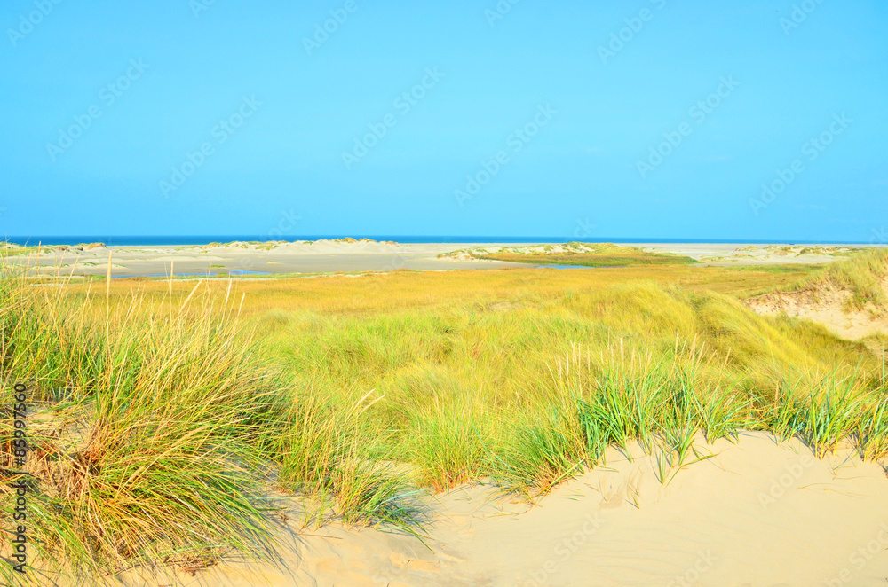 Dünenlandschaft mit Blick auf die Nordsee