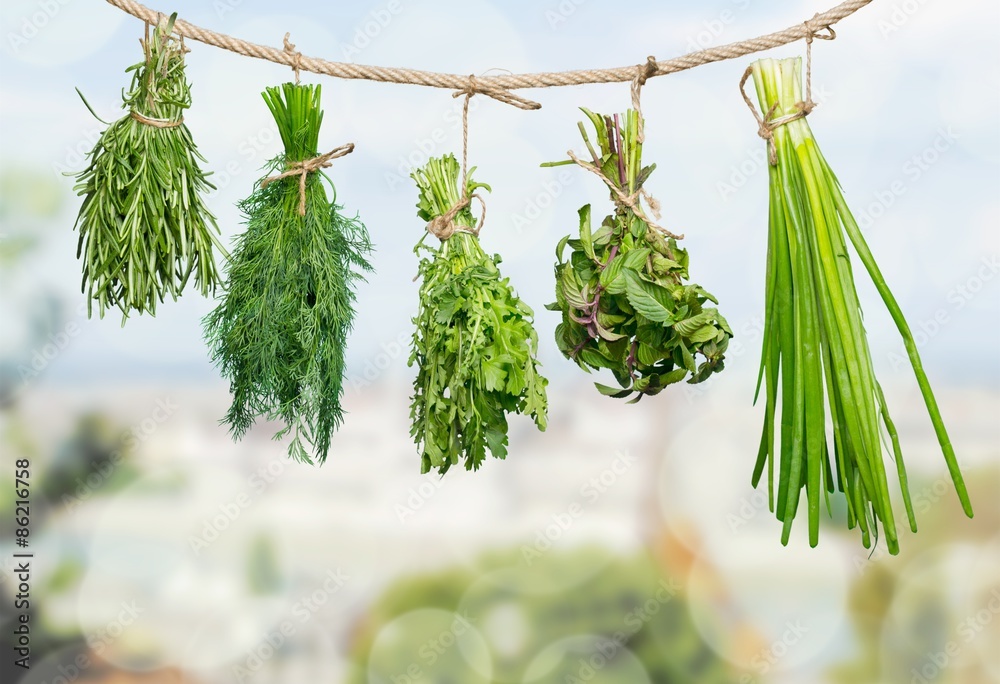 Herb, oregano, basil.