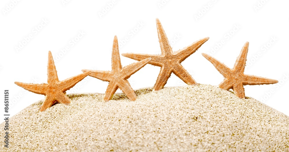 Starfish, ocean, beach.