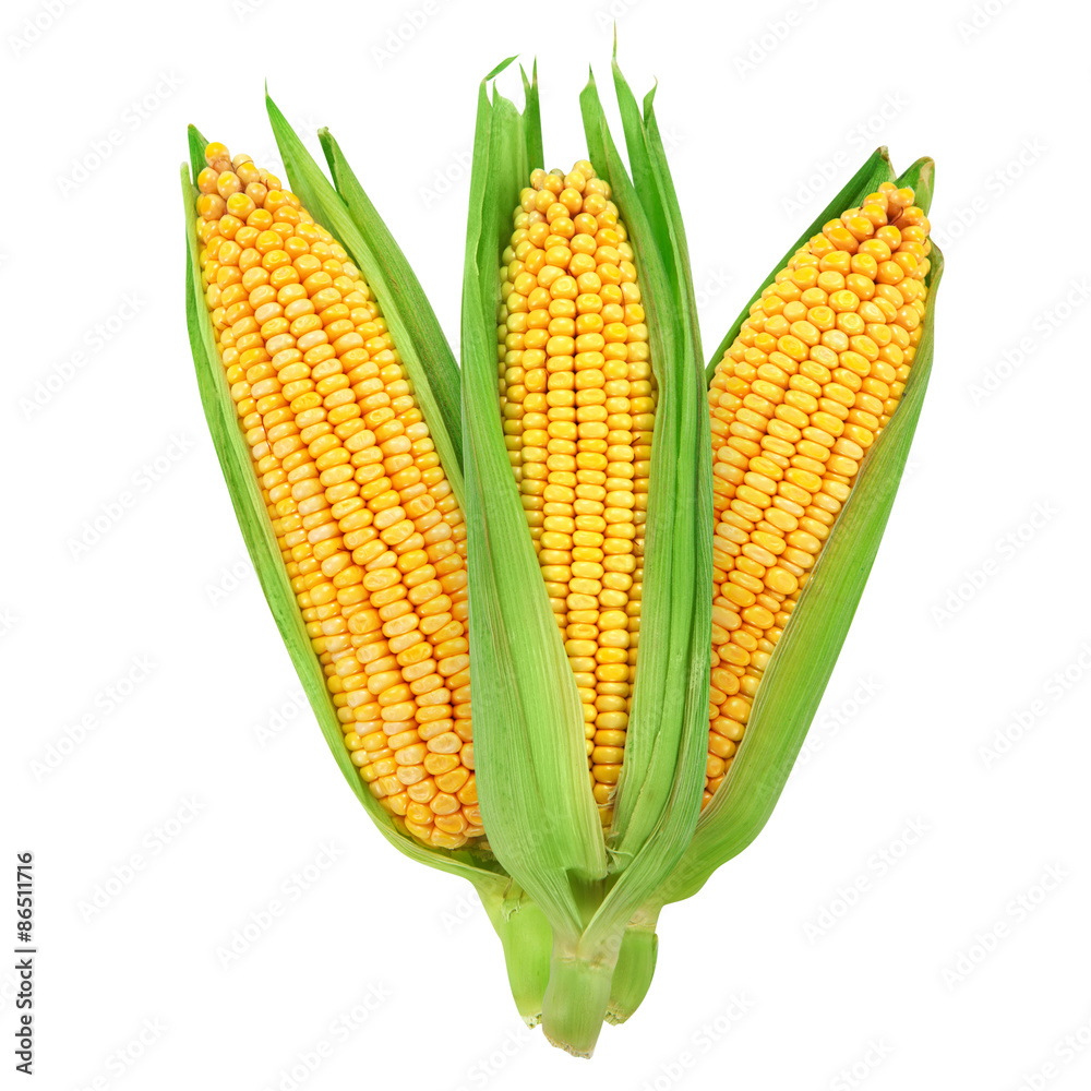 Corn