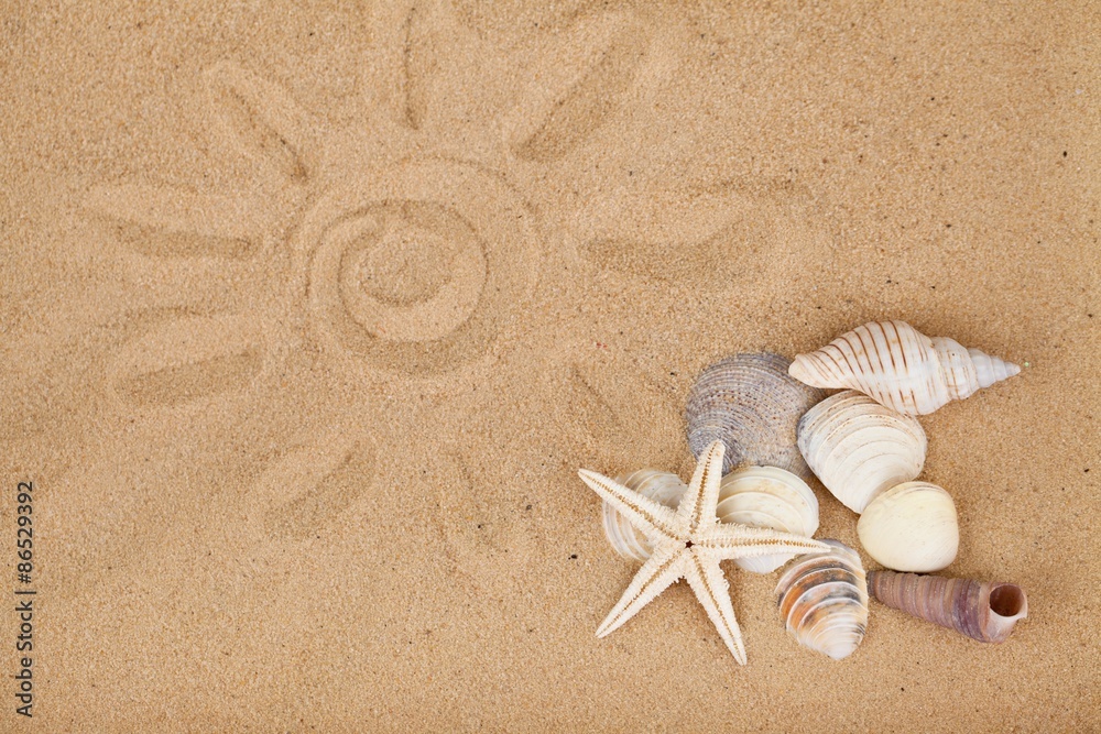 Beach, Sand, Shell.