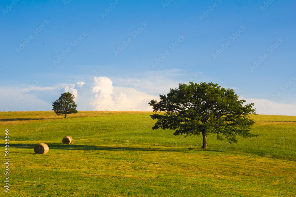 umbria con rotoballe的Paesaggio Rural e estivo