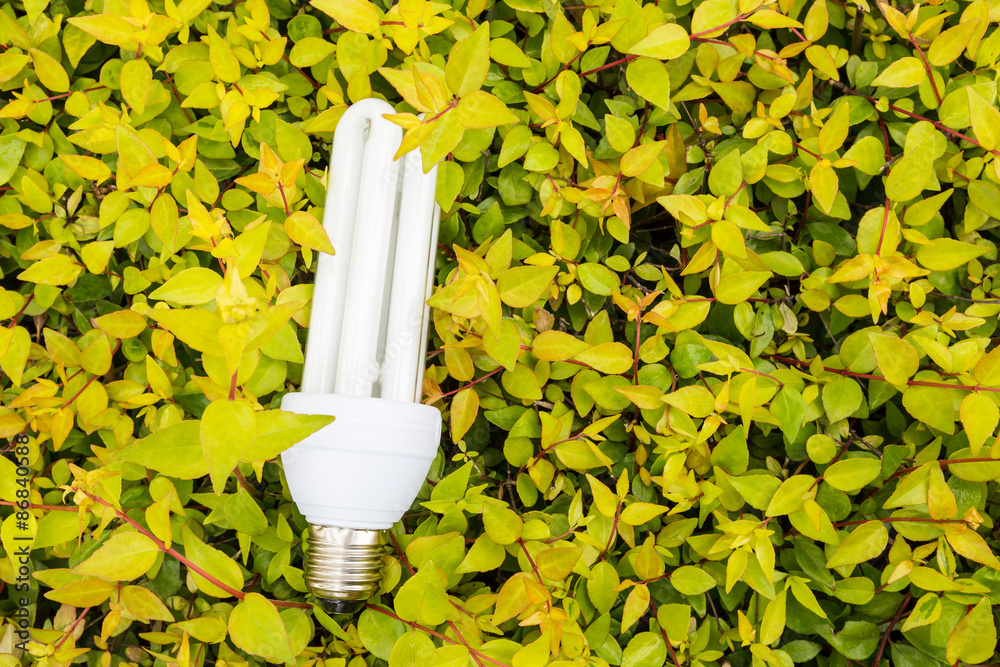 Energy saving light bulb on the green plant background