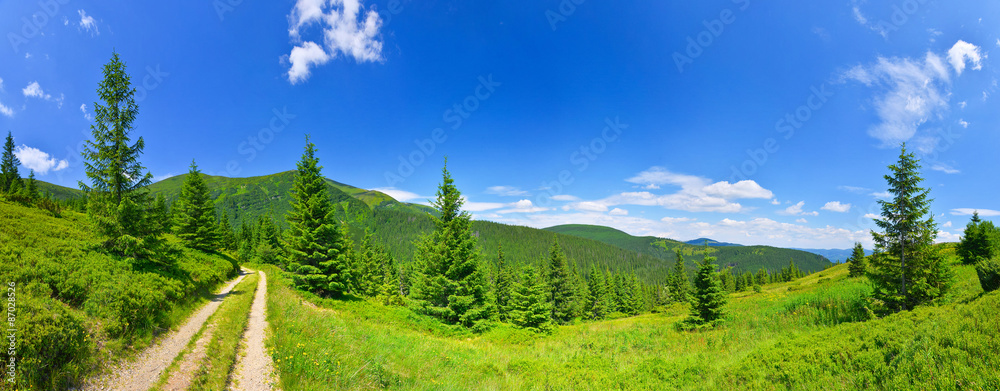 高山草甸和乡村公路