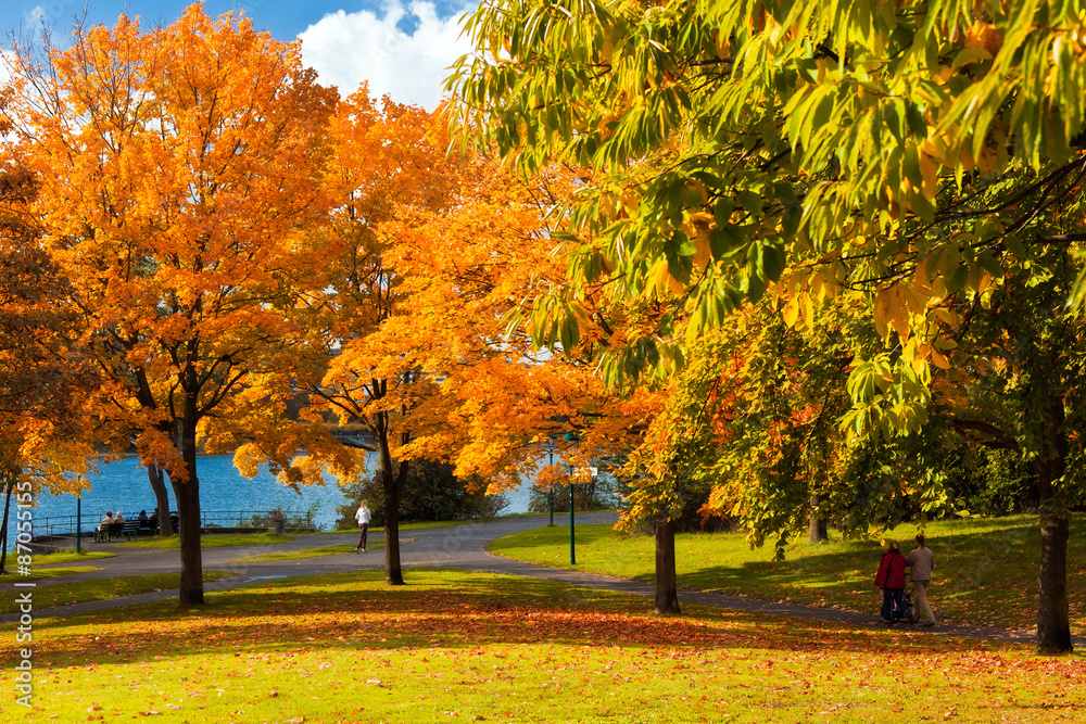 A sunny day in autumn