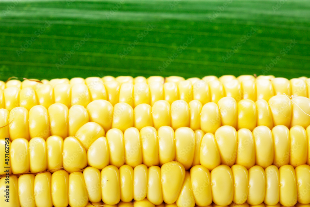 Corn