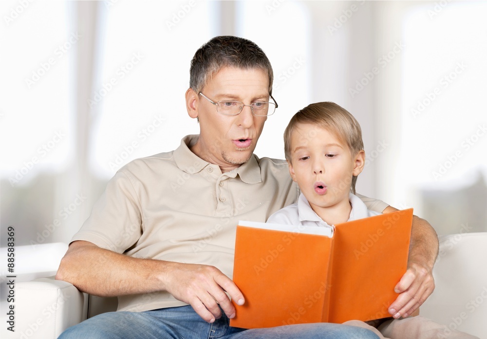 Father and child, sofa, browsing.