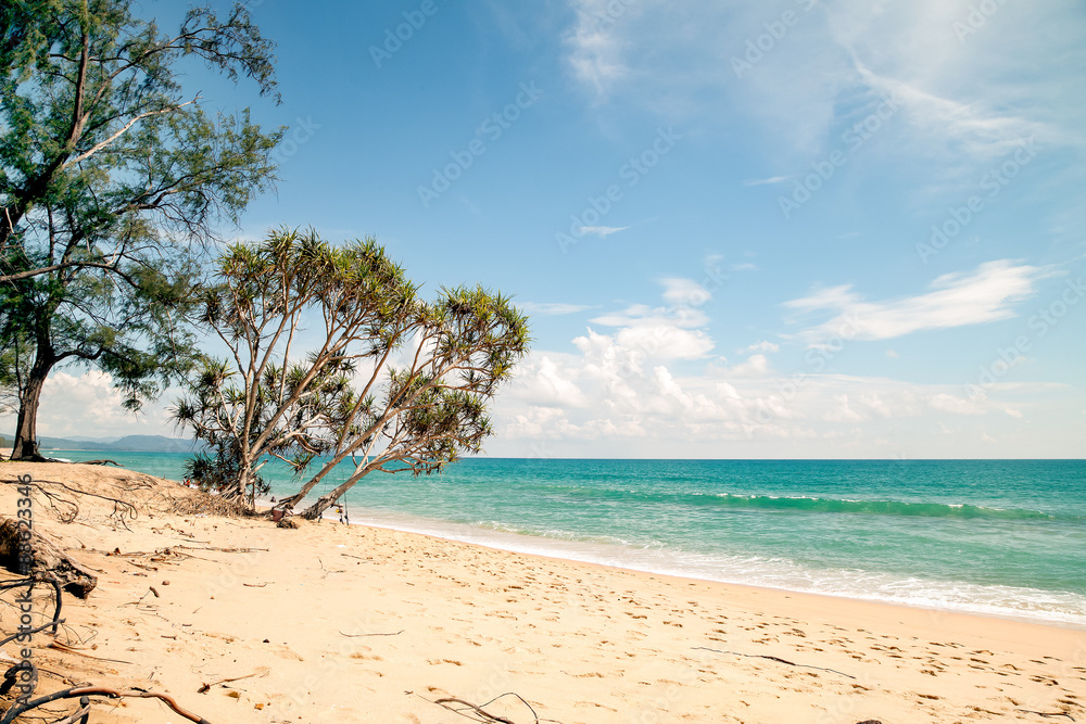 热带海滩