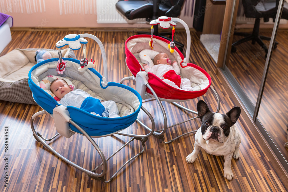 Baby twins lying down in cradles with dog watching them