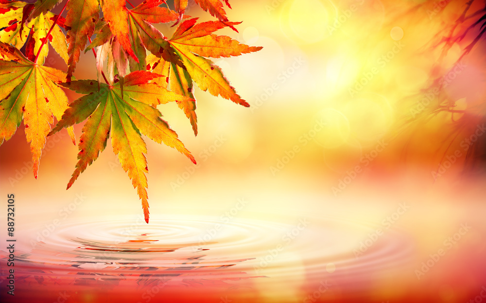 Autumn spa background with red leaves on water