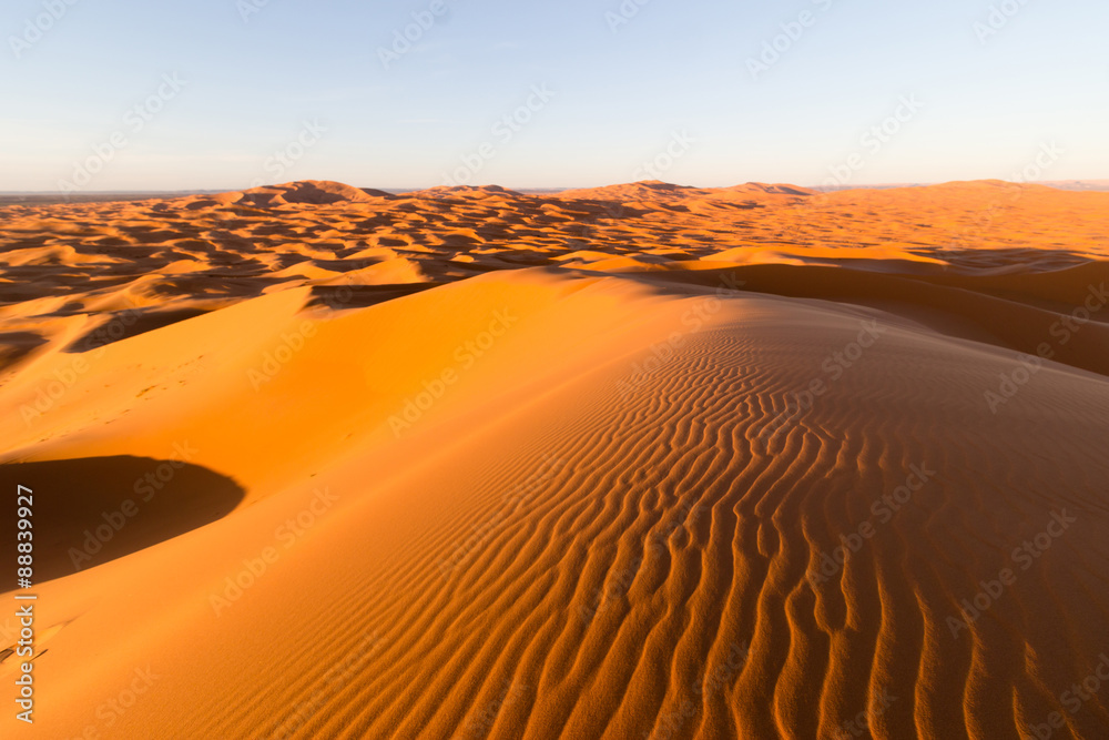 sahara desert