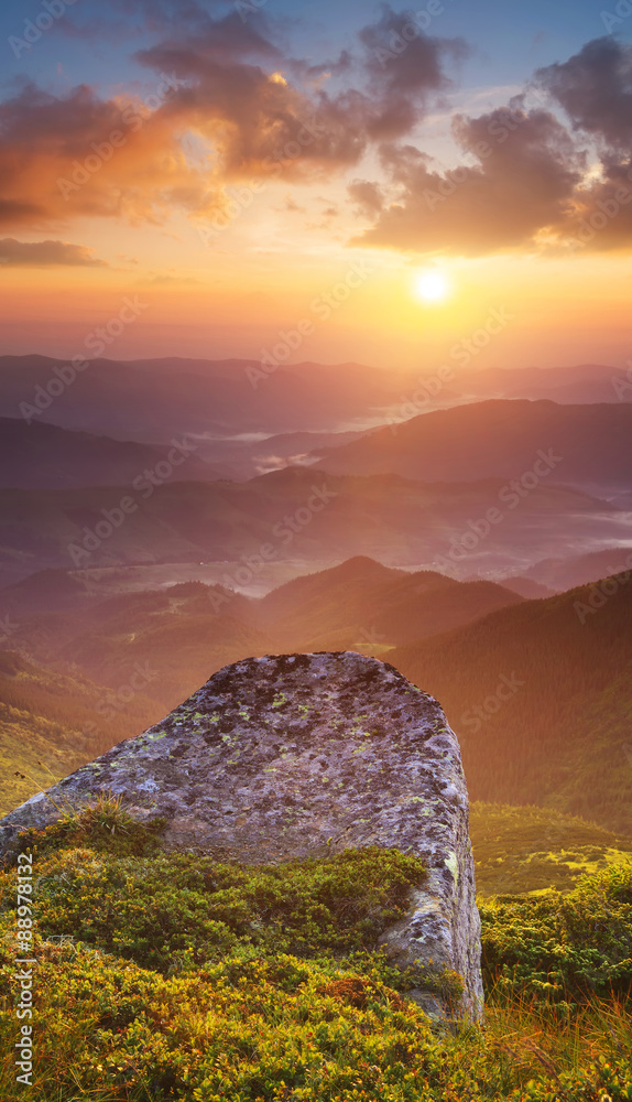 日落时的山谷。美丽的夏季景观