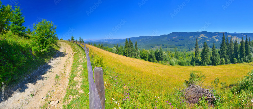 夏季乡村道路