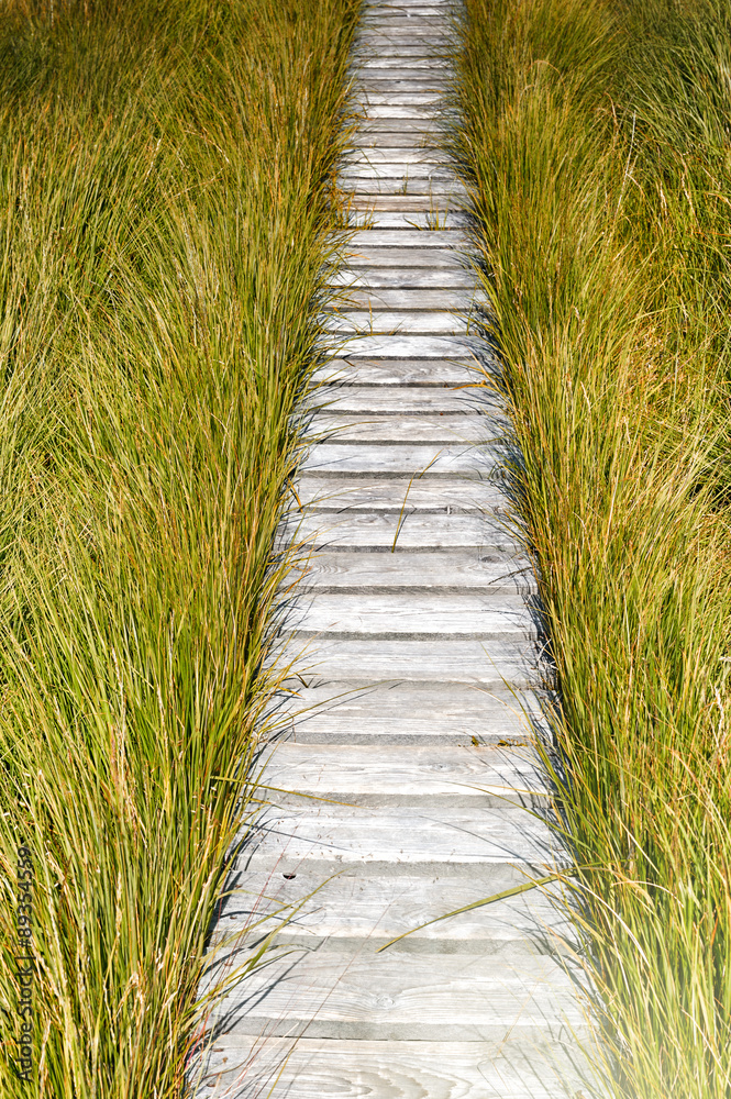 Wooden plank board walkway