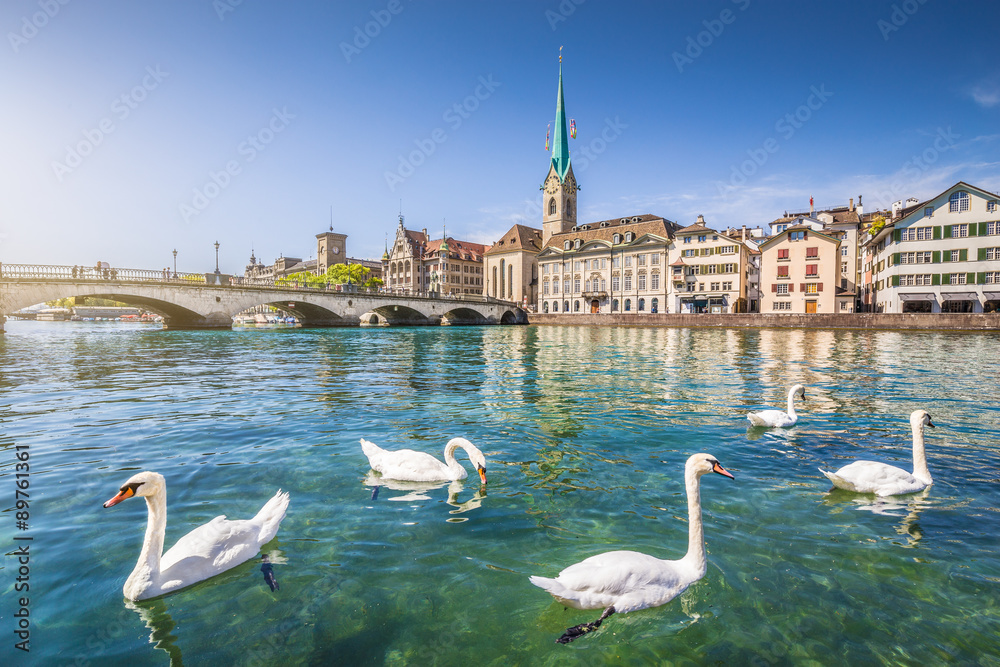 Historic city center of Zürich with Fraumünster Church and swans on river Limmat, Canton of Zürich, 