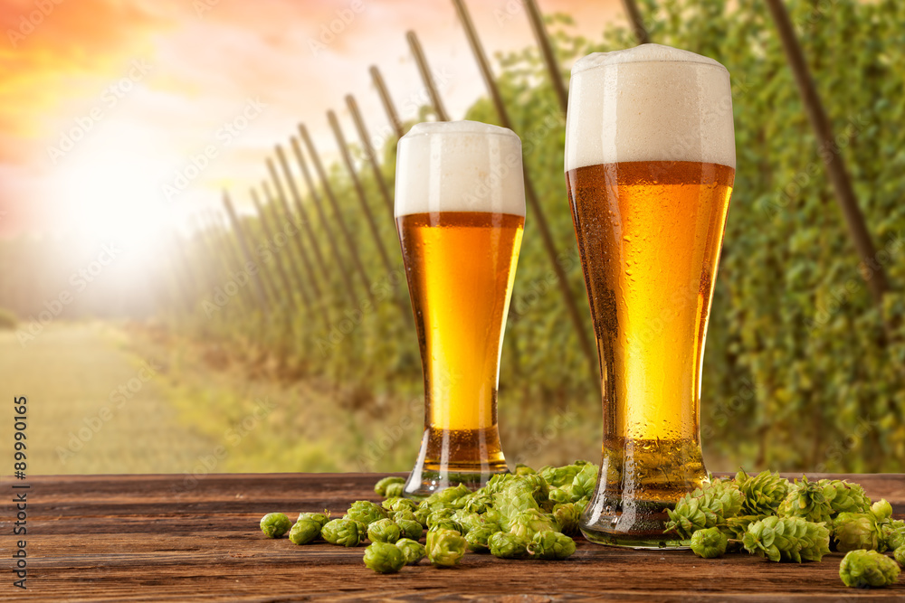 Beer glasses with hop-field on background