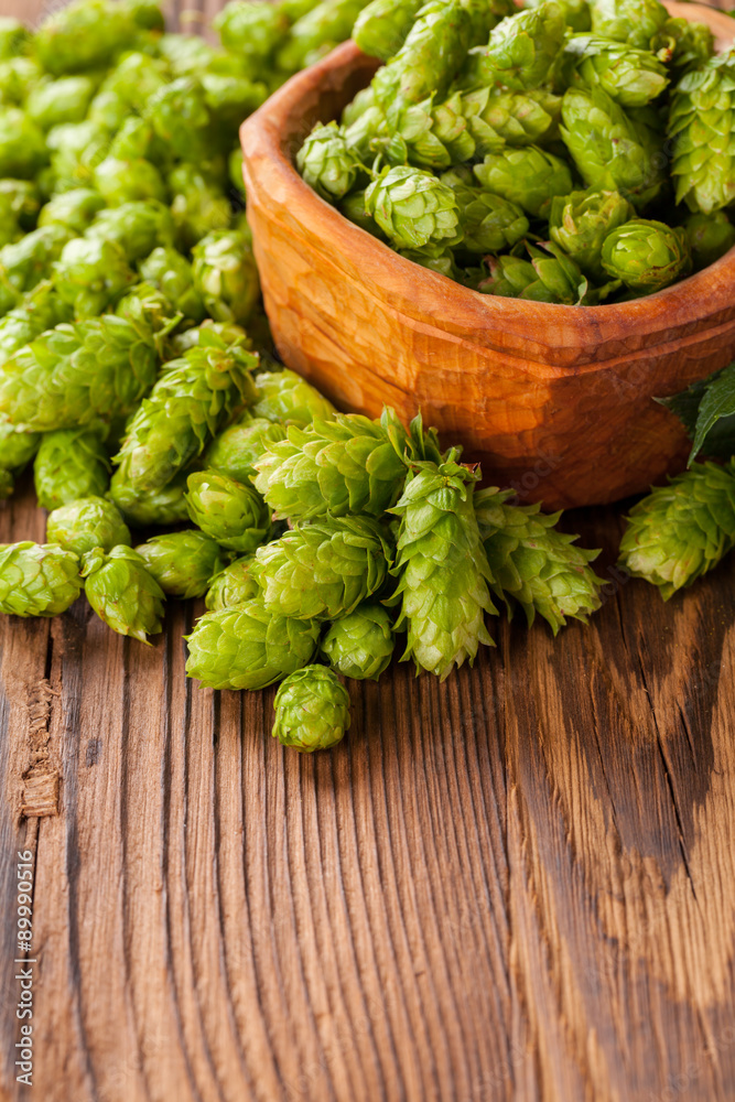 Fresh green hops on wooden desk