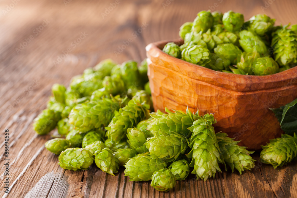 Fresh green hops on wooden desk