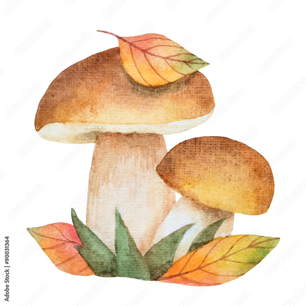 Watercolor mushrooms with autumn leaves