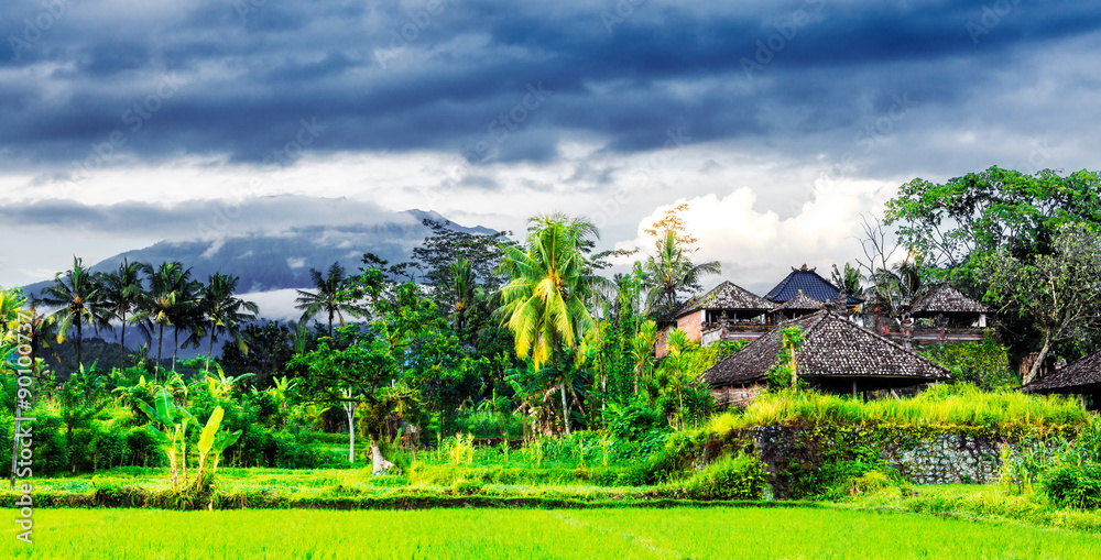 Mt. Agung Landscape