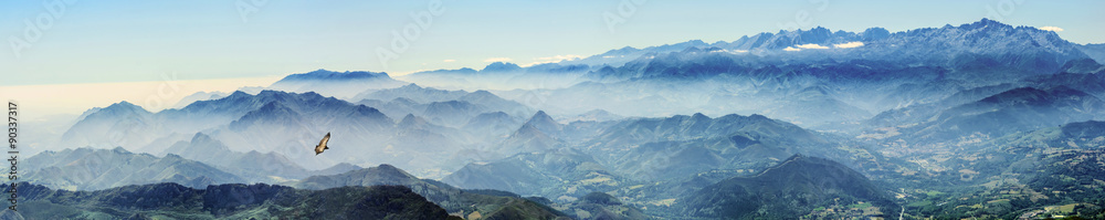 Hochgebirge mit Gänsegeier im Nebel (Picos de Europa, Asturien, Spanien)