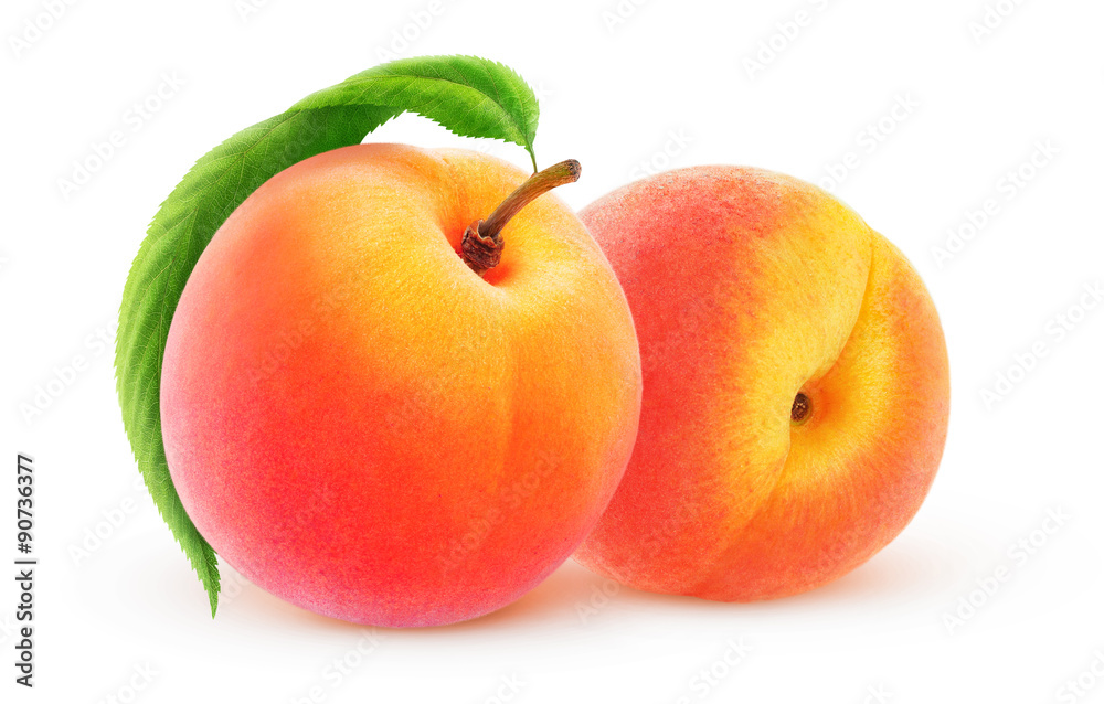 Two peaches isolated on white, with clipping path