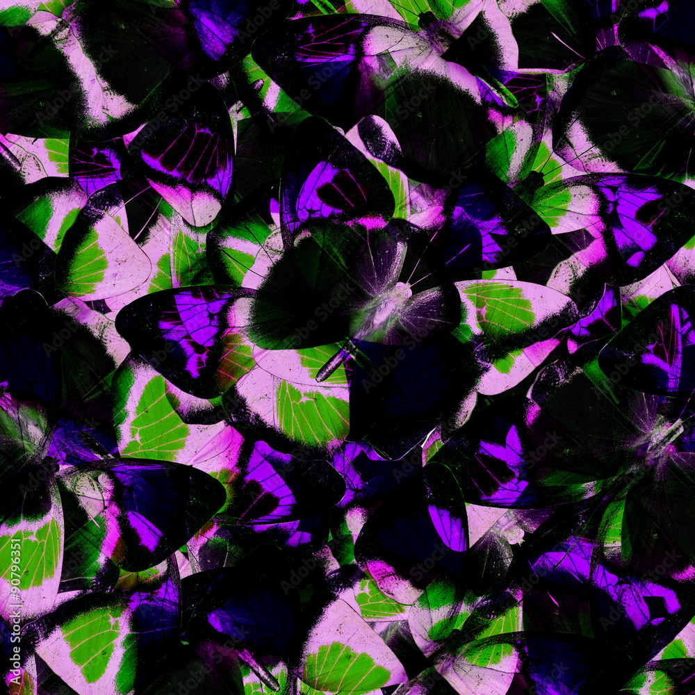 Dark Green and  Purple Background Texture made of Orange Tip But