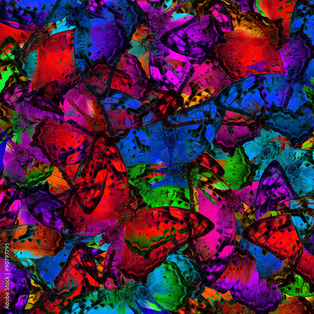 Exotic multicolor background texture made of Vagrant butterflies