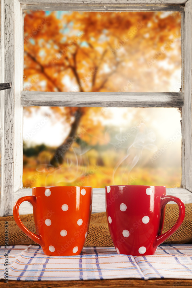 Vintage wooden window overlook autumn trees