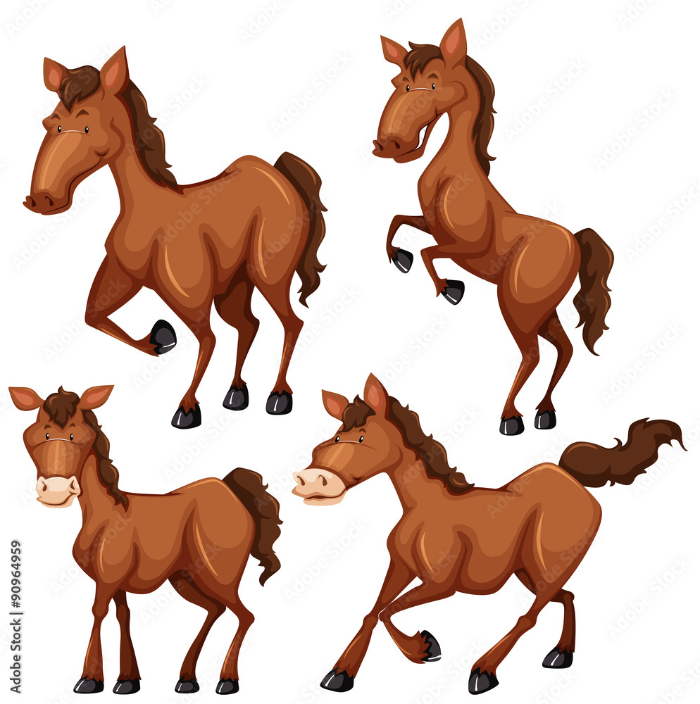 Brown horse in four different poses