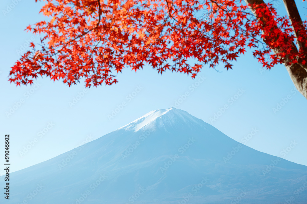 紅葉と富士山