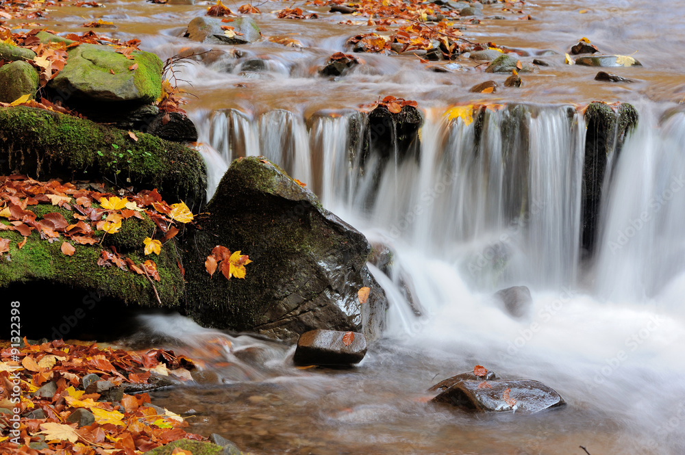 Autumn forest waterfall