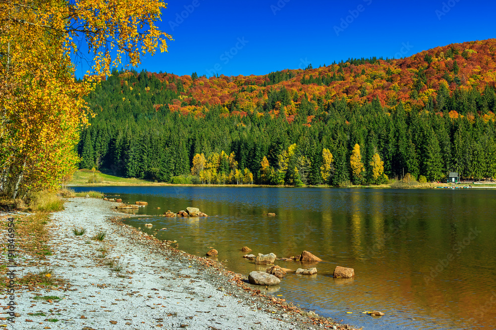 Autumn landscape with colorful forest,St Ana Lake,Transylvania,Romania