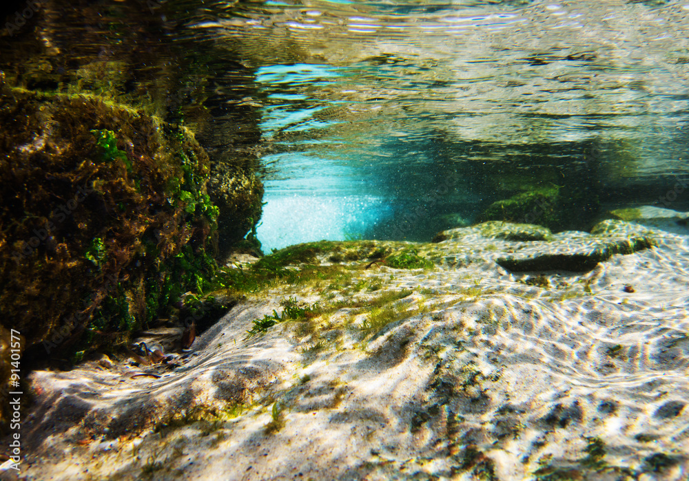 水下景观-沙子、草地和阳光