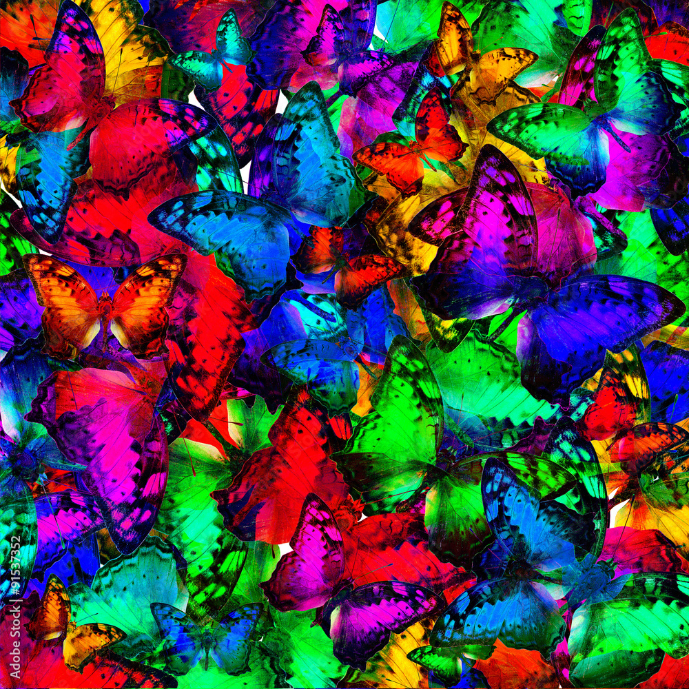 Great multicolor background texture made of Vagrant butterflies