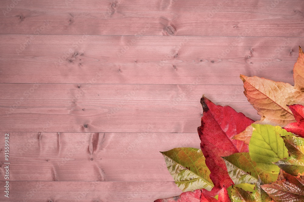 Composite image of autumn leaves pattern