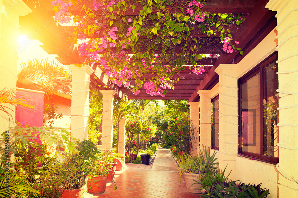 Landscaped terrace of a beautiful big house in Mexico over sunset