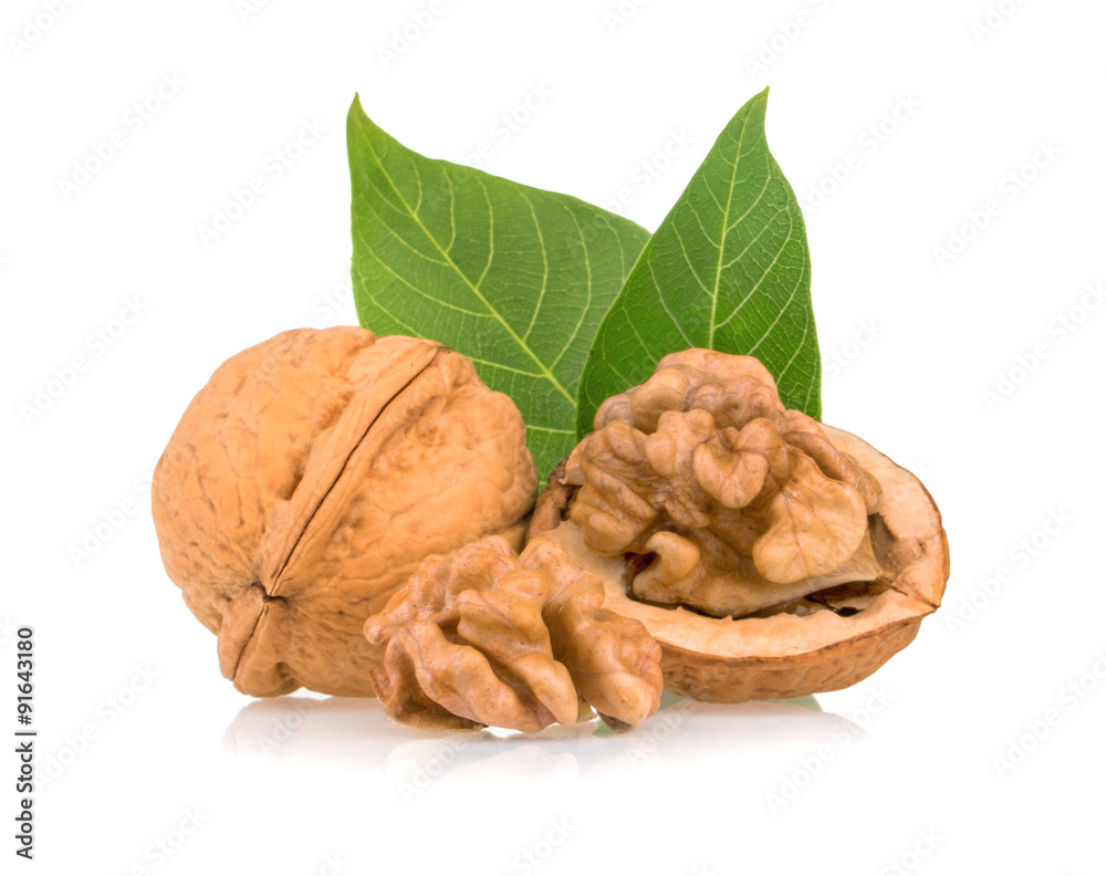 Dried walnuts with leaves isolated