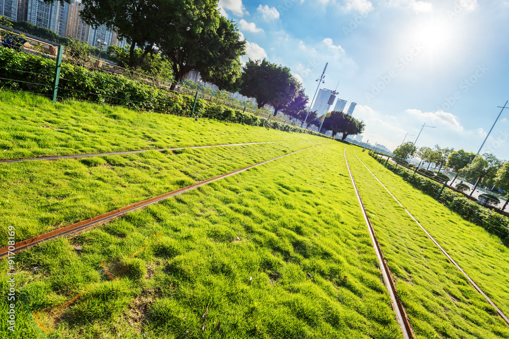 railways along with trees and greenland