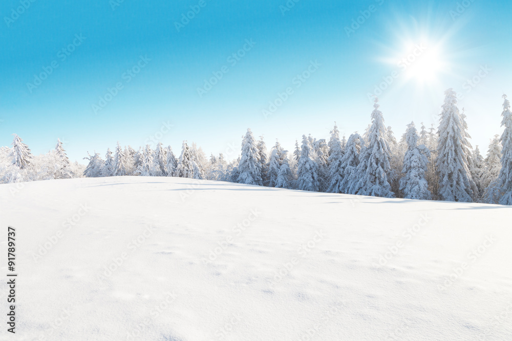 冬季雪景