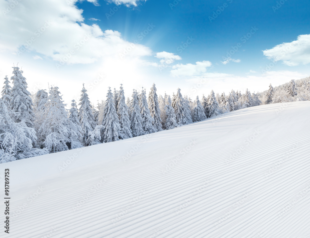 Winter snowy landscape