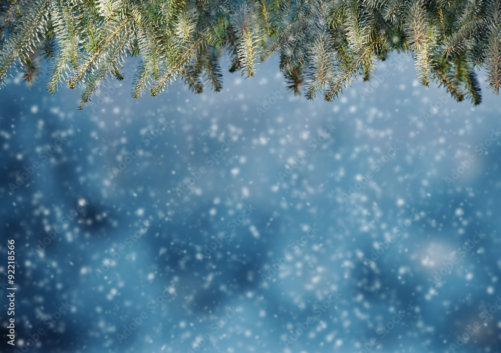 Abstract background with fir branches