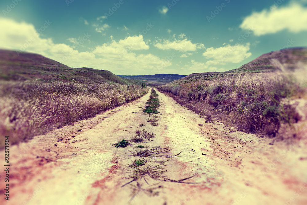 Camino por el campo.Paisaje y naturaleza