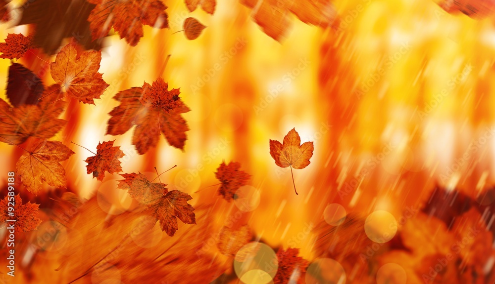 Composite image of autumn leaves